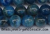 CAP413 15.5 inches 10mm round apatite gemstone beads wholesale