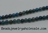 CAP51 15.5 inches 4mm round dyed apatite gemstone beads wholesale