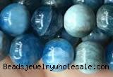 CAP579 15.5 inches 10mm round apatite beads wholesale