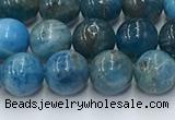 CAP630 15.5 inches 6mm round apatite beads wholesale