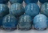 CAP632 15.5 inches 10mm round apatite beads wholesale