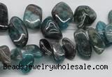 CAP73 15.5 inches 10*20mm nugget dyed apatite gemstone beads wholesale