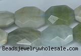 CAQ590 15.5 inches 15*20mm faceted freeform aquamarine beads