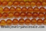 CAR107 15.5 inches 5mm round natural amber beads