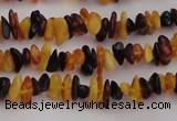 CAR204 24 inches 3*8mm natural amber chips beads wholesale