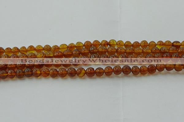 CAR526 15.5 inches 5mm - 6mm round natural amber beads wholesale