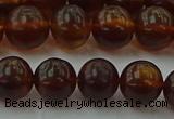 CAR528 15.5 inches 8mm - 9mm round natural amber beads wholesale