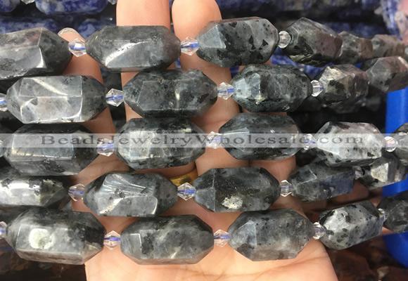 CBBS17 15 inches 11*25mm - 14*28mm hexahedral prism black labradorite beads