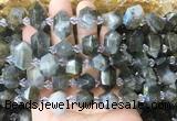 CBBS221 Top drilled 7*16mm - 11*25mm hexahedral prism labradorite beads wholesale CBBS221 Top drilled 7*16mm - 11*25mm hexahedral prism labradorite beads wholesale