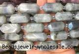 CBBS24 15 inches 11*25mm - 14*28mm hexahedral prism labradorite beads