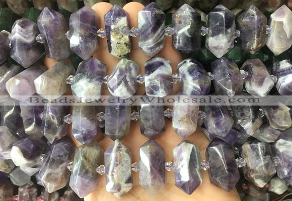 CBBS31 15 inches 12*25mm - 14*28mm hexahedral prism dogtooth amethyst beads