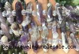 CBBS79 15 inches 8*30mm - 9*33mm hexahedral prism dogtooth amethyst beads