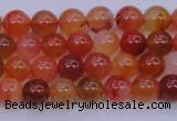 CBC410 15.5 inches 4mm AA grade round orange chalcedony beads