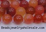 CBC414 15.5 inches 12mm AA grade round orange chalcedony beads