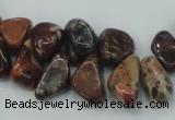 CBD16 15.5 inches 8*12mm chip brecciated jasper gemstone beads