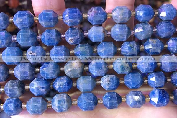 CCB1009 15 inches 9*10mm faceted apatite beads