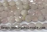 CCB1369 15 inches 4mm faceted coin morganite beads