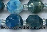 CCB1467 15 inches 9mm - 10mm faceted apatite beads