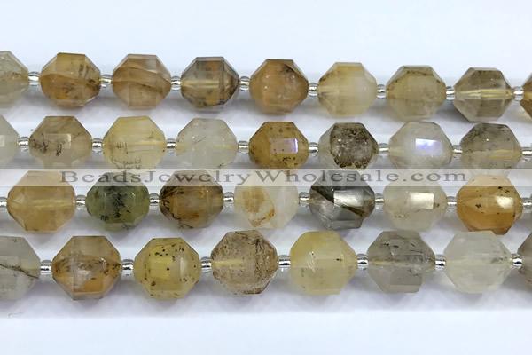 CCB1534 15 inches 11mm - 12mm faceted scenic quartz beads