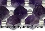 CCB1608 15 inches 10mm faceted amethyst gemstone beads