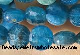 CCB615 15.5 inches 6mm faceted coin natural apatite gemstone beads