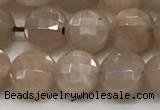 CCB705 15.5 inches 6mm faceted coin moonstone gemstone beads