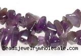 CCH12 35 inches purple amethyst chips gemstone beads wholesale