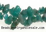 CCH21 34 inches amazonite chips gemstone beads wholesale