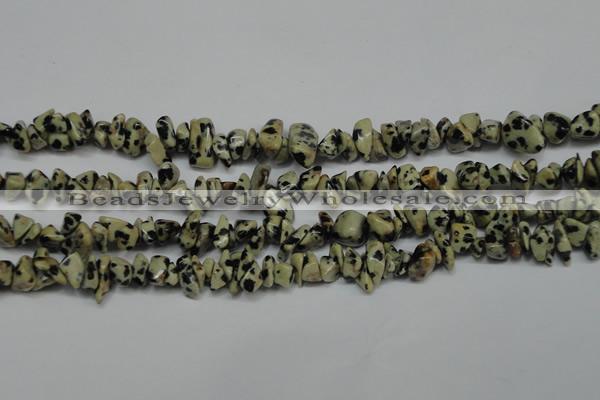 CCH228 34 inches 5*8mm dalmatian jasper chips gemstone beads wholesale