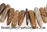 CCH26 16 inches picture jasper chips gemstone beads wholesale