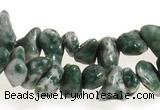 CCH29 35 inches dalmatian jasper chips gemstone beads wholesale