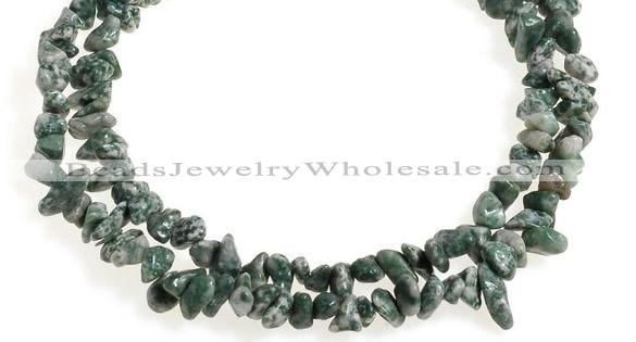 CCH29 35 inches dalmatian jasper chips gemstone beads wholesale