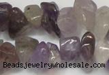 CCH291 34 inches 8*12mm amethyst chips gemstone beads wholesale