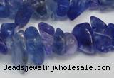 CCH294 34 inches 8*12mm dyed kyanite chips gemstone beads wholesale