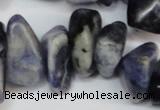 CCH300 34 inches 8*12mm sodalite chips gemstone beads wholesale