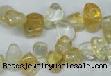 CCH312 15.5 inches 10*15mm citrine chips gemstone beads wholesale