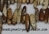 CCH345 15.5 inches 5*20mm picture jasper chips beads wholesale