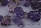 CCH614 15.5 inches 6*8mm - 10*14mm ametrine chips gemstone beads