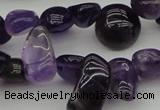 CCH615 15.5 inches 6*8mm - 10*14mm amethyst chips gemstone beads