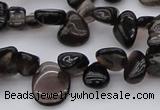 CCH623 15.5 inches 6*8mm - 10*14mm smoky quartz chips beads