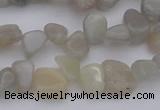 CCH625 15.5 inches 6*8mm - 10*14mm grey moonstone chips beads