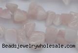 CCH626 15.5 inches 6*8mm - 10*14mm morganite gemstone chips beads