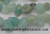 CCH630 15.5 inches 6*8mm - 10*14mm Chinese amazonite chips beads