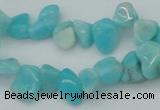 CCH631 15.5 inches 6*8mm - 10*14mm Peru amazonite chips beads