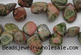 CCH636 15.5 inches 6*8mm - 10*14mm unakite gemstone chips beads