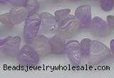 CCH641 15.5 inches 6*8mm - 10*14mm lavender amethyst chips beads