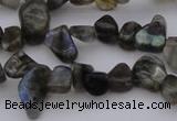 CCH642 15.5 inches 6*8mm - 10*14mm labradorite chips beads