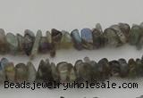 CCH645 15.5 inches 4*6mm - 5*8mm labradorite chips beads