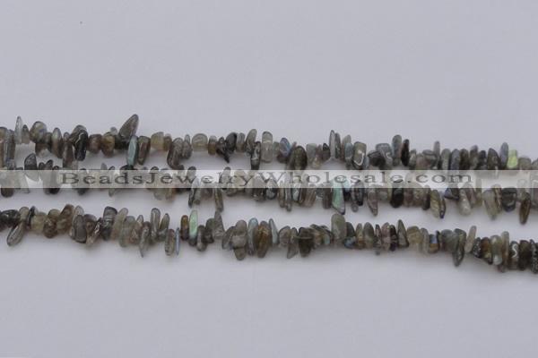 CCH646 15.5 inches 4*10mm - 6*14mm labradorite chips beads