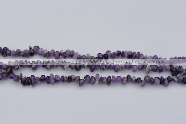 CCH649 15.5 inches 4*6mm - 5*8mm amethyst gemstone chips beads